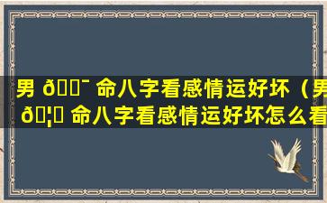 男 🐯 命八字看感情运好坏（男 🦁 命八字看感情运好坏怎么看）